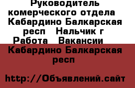  Руководитель комерческого отдела - Кабардино-Балкарская респ., Нальчик г. Работа » Вакансии   . Кабардино-Балкарская респ.